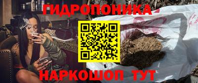 СК Дубна