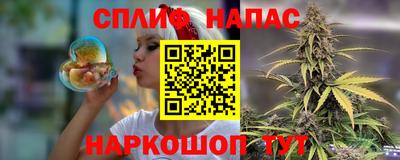 стафф Донецк