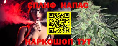 стафф Донецк