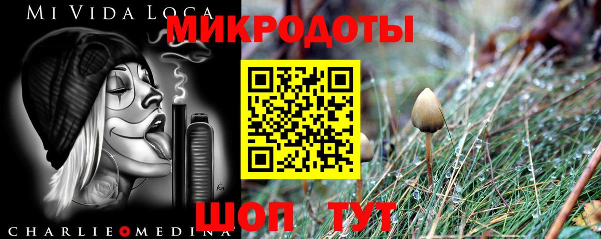 Малгобек  Псилоцибиновые грибы прущие грибы  Псилоцибиновые грибы прущие грибы  Вход с VPN 